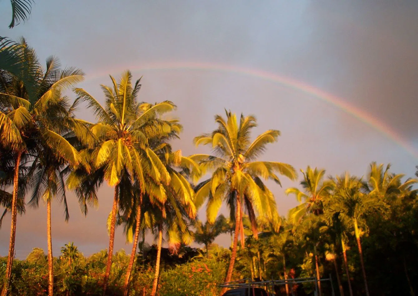 Premier Kona Coffee Farm with Historic Mill and Brand