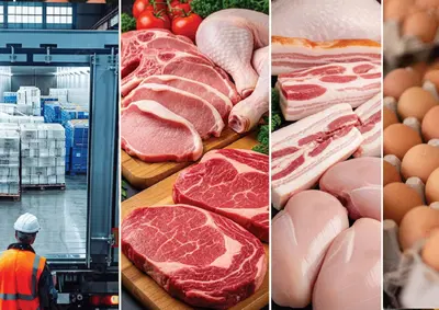 Premier Wholesale Distributor with Modern Cold Storage Facilities