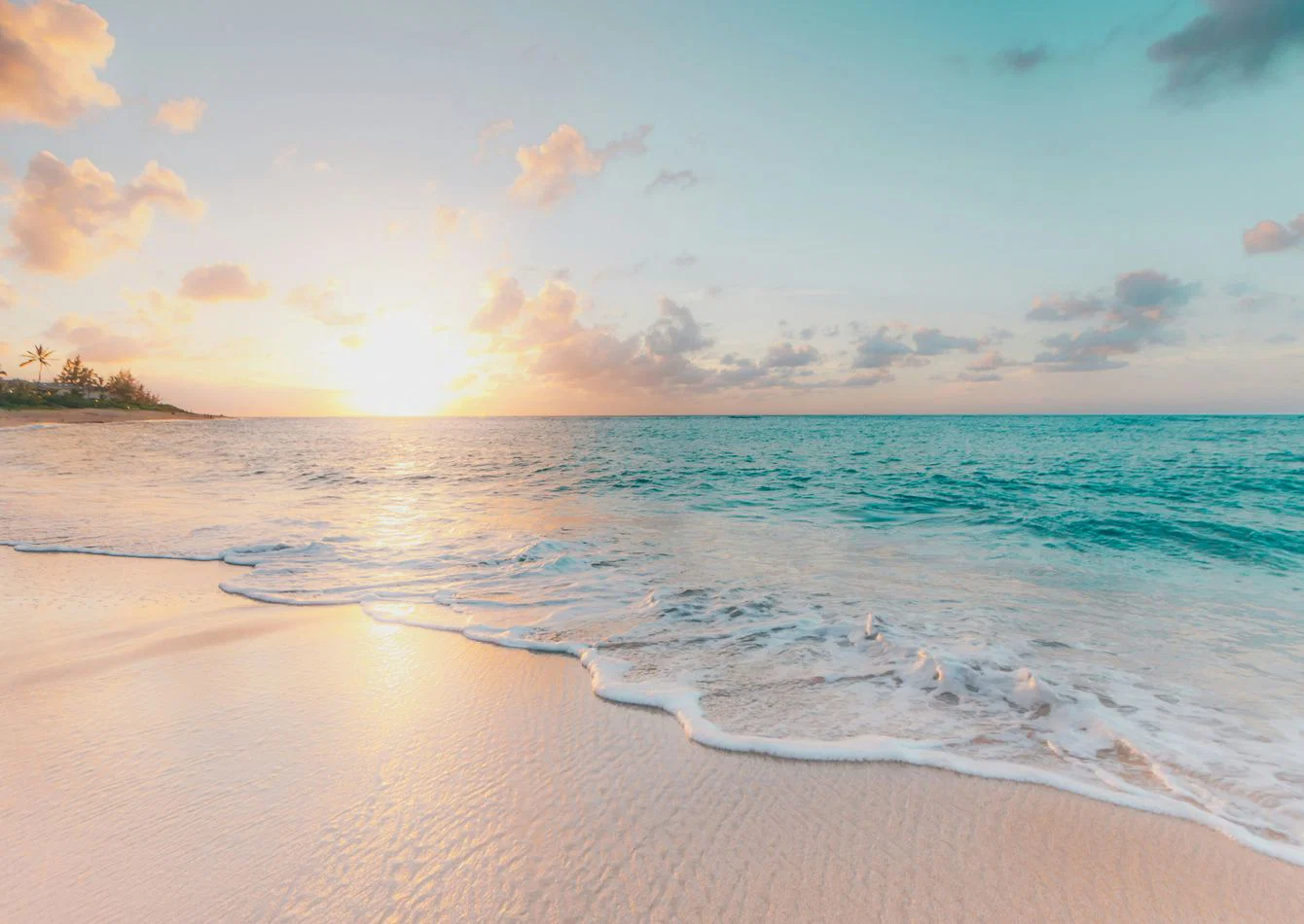 Established Hawaii Vacation Rental Business with Loyal Guest Base