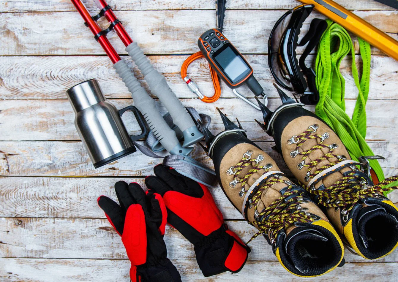 Premier Sporting Goods Retailer with National Online Reach