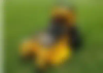 Established Landscaping and Snow Removal Service with Turnkey Operations