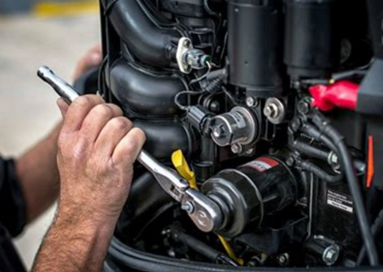 Established Marine Service with Real Estate Included