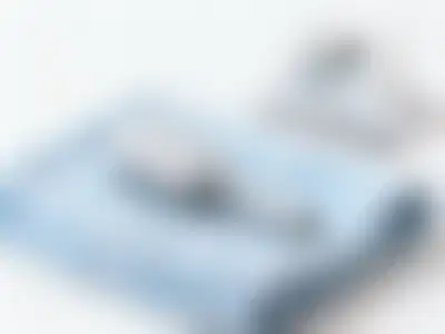 Profitable Mobile Pet Grooming Franchise with Exclusive Territories