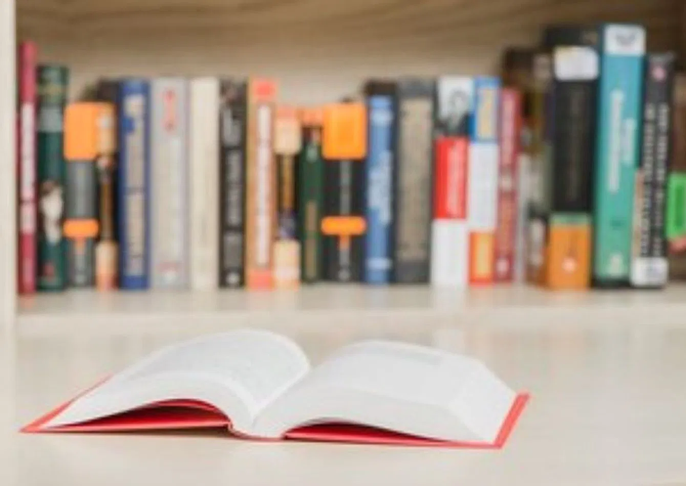 Established Christian Bookstore with Strong Community Presence