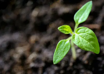 Established Irrigation Equipment Manufacturer with Real Estate Included