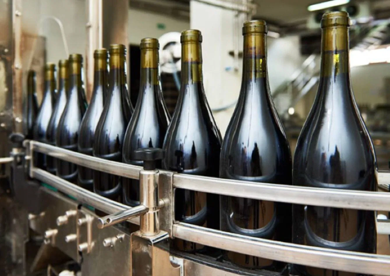 Established Winery with Real Estate and Rental Income