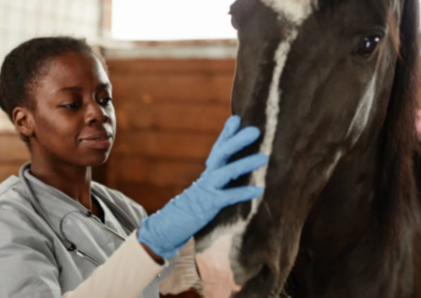 Established Veterinary Clinic with Loyal Clientele