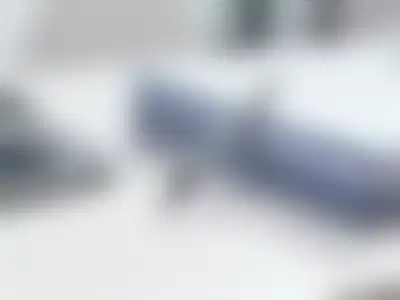 Established Accounting Firm with Strong Brand Recognition