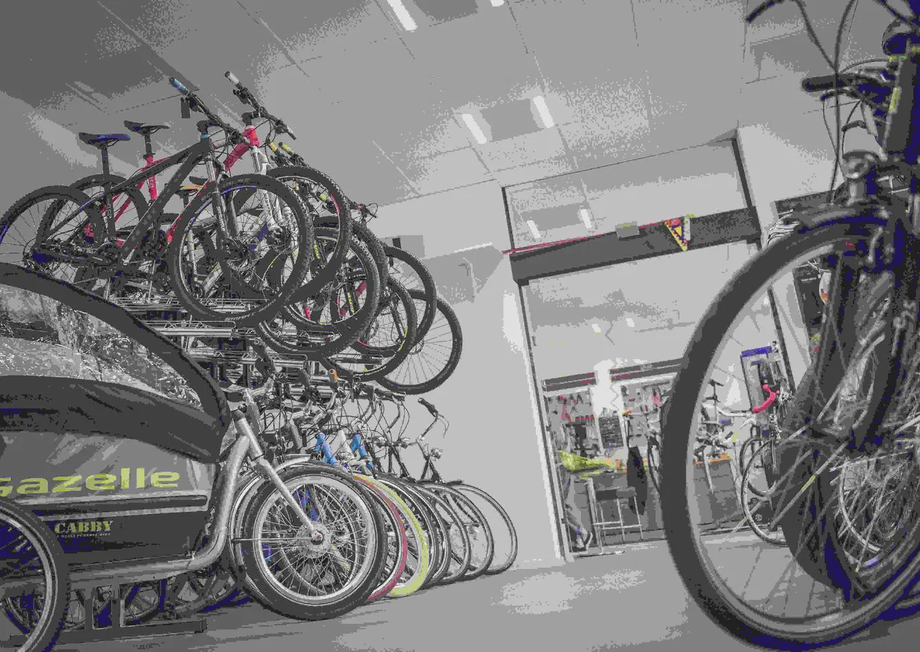 Thriving Bicycle Retailer with Strong Growth Potential