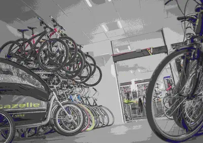 Thriving Bicycle Retailer with Strong Growth Potential