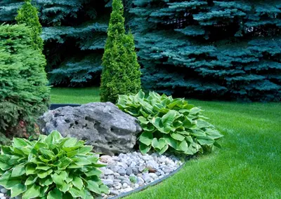 Award Winning Landscape Architectural Design Firm with Diverse Clientele