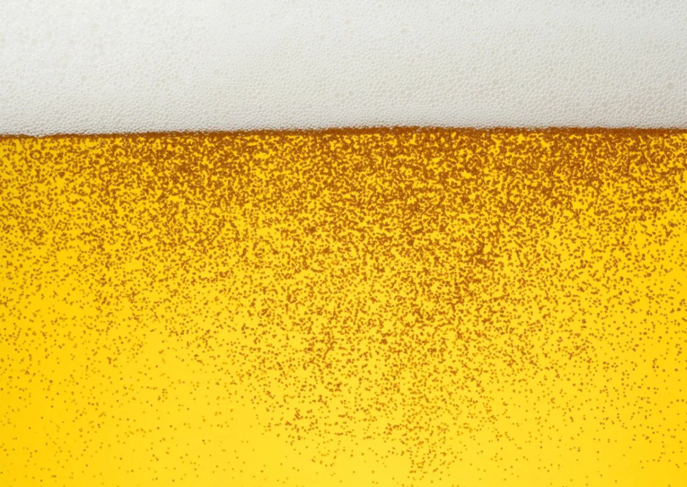 Established Brewery and Taproom with LCBO Approved Products