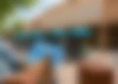 Profitable Luxury Publication with Proven Systems