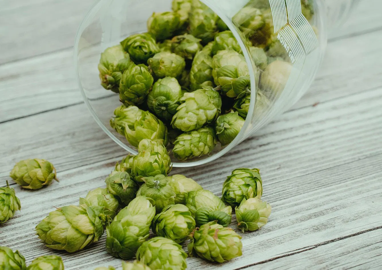 Turnkey Brewery and Taproom with Growing Distribution