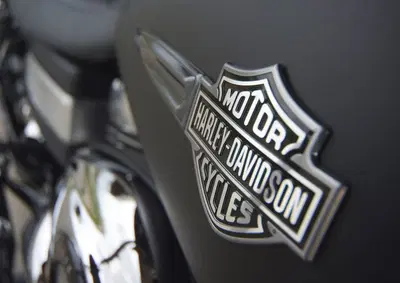Premier Harley Davidson Dealership with Turnkey Operations