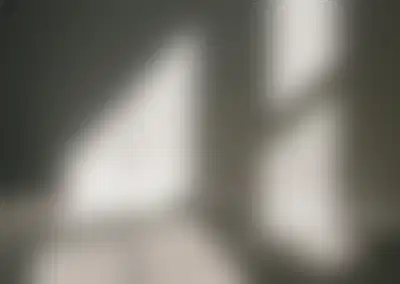 Premier Window Treatment Retailer with High End Clientele