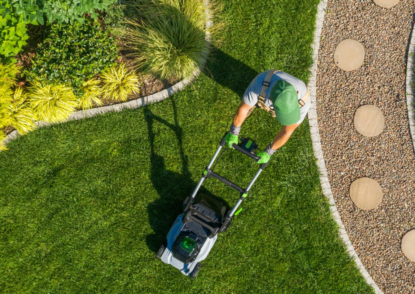 Established Landscaping Contractor with Strong Recurring Clientele