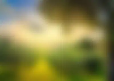 Profitable Tree Service with Absentee Ownership