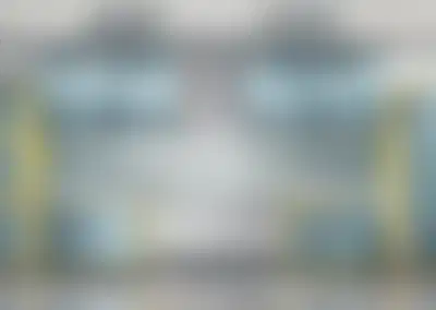 Leading Home Organization Company with Multiple Revenue Streams