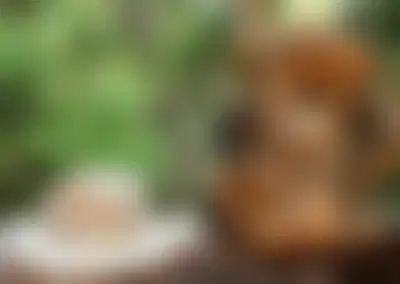 Established Outdoor Gear Brand with Significant Inventory