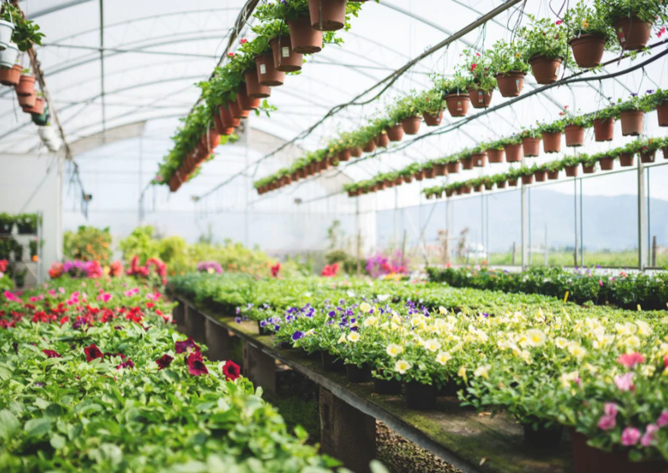 Complete Garden Center Assets with Greenhouse Facilities