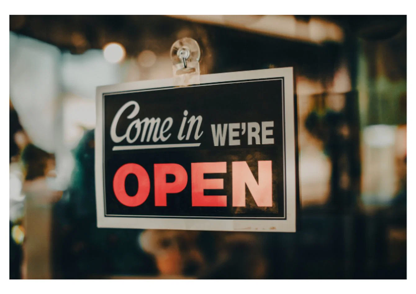 Established Outdoor Recreation Retailer with Diversified Revenue Streams