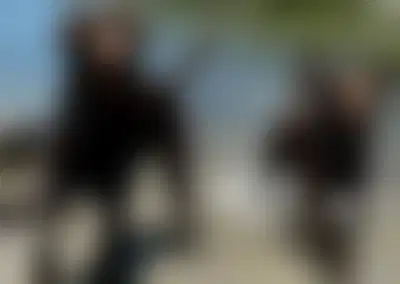 Premier Franchised Dog Daycare with Turnkey Operations