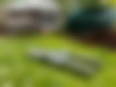 Profitable Landscaping Business with Scalable Operations