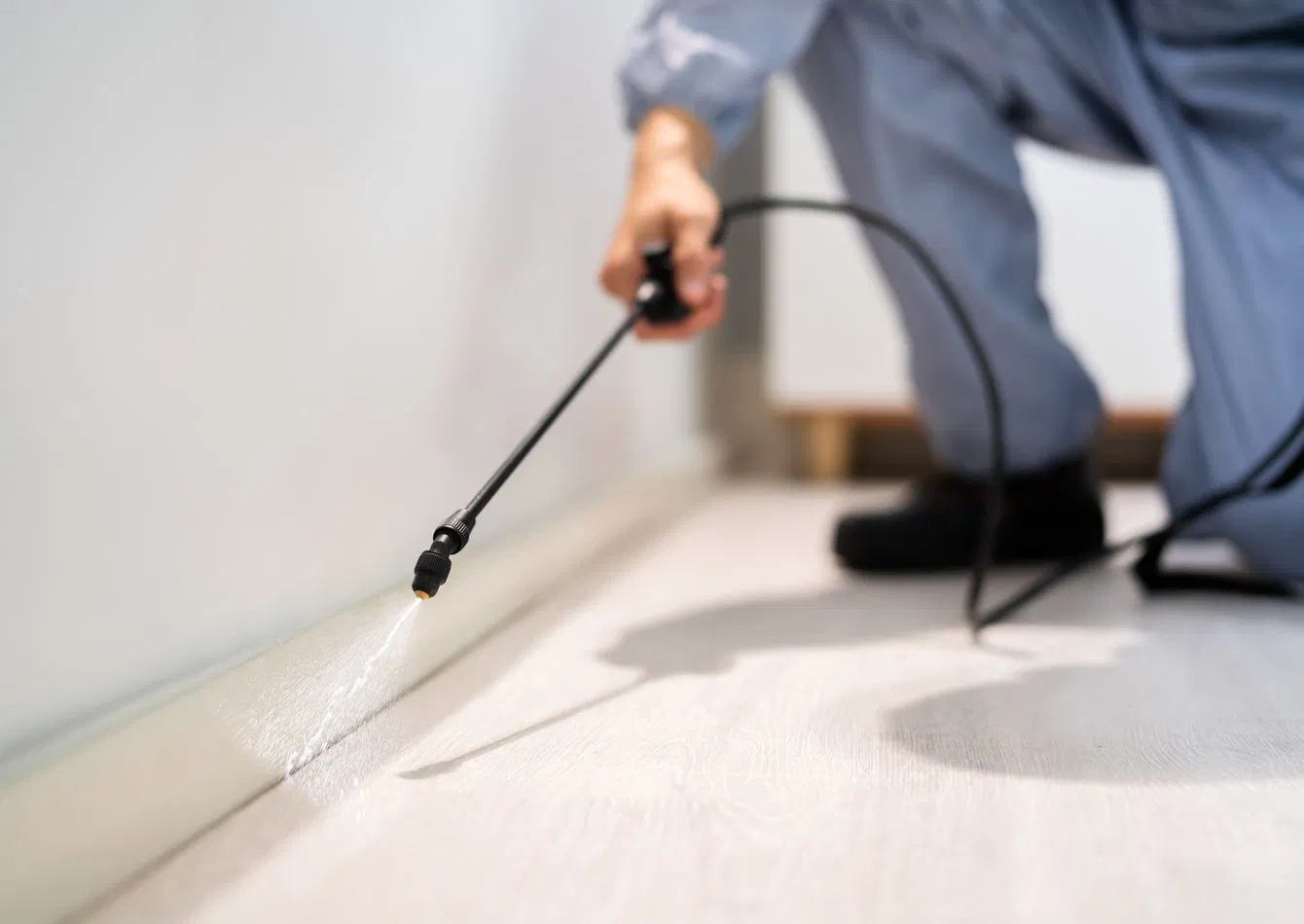 Profitable Pest Control Business with Strong Recurring Revenue