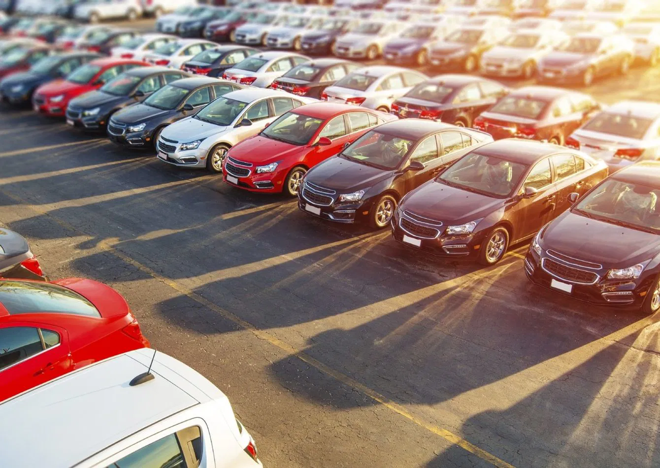 Premier Automotive Enterprise with Diverse Revenue Streams