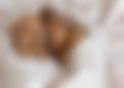 Profitable Pet Service Franchise with Remote Operations