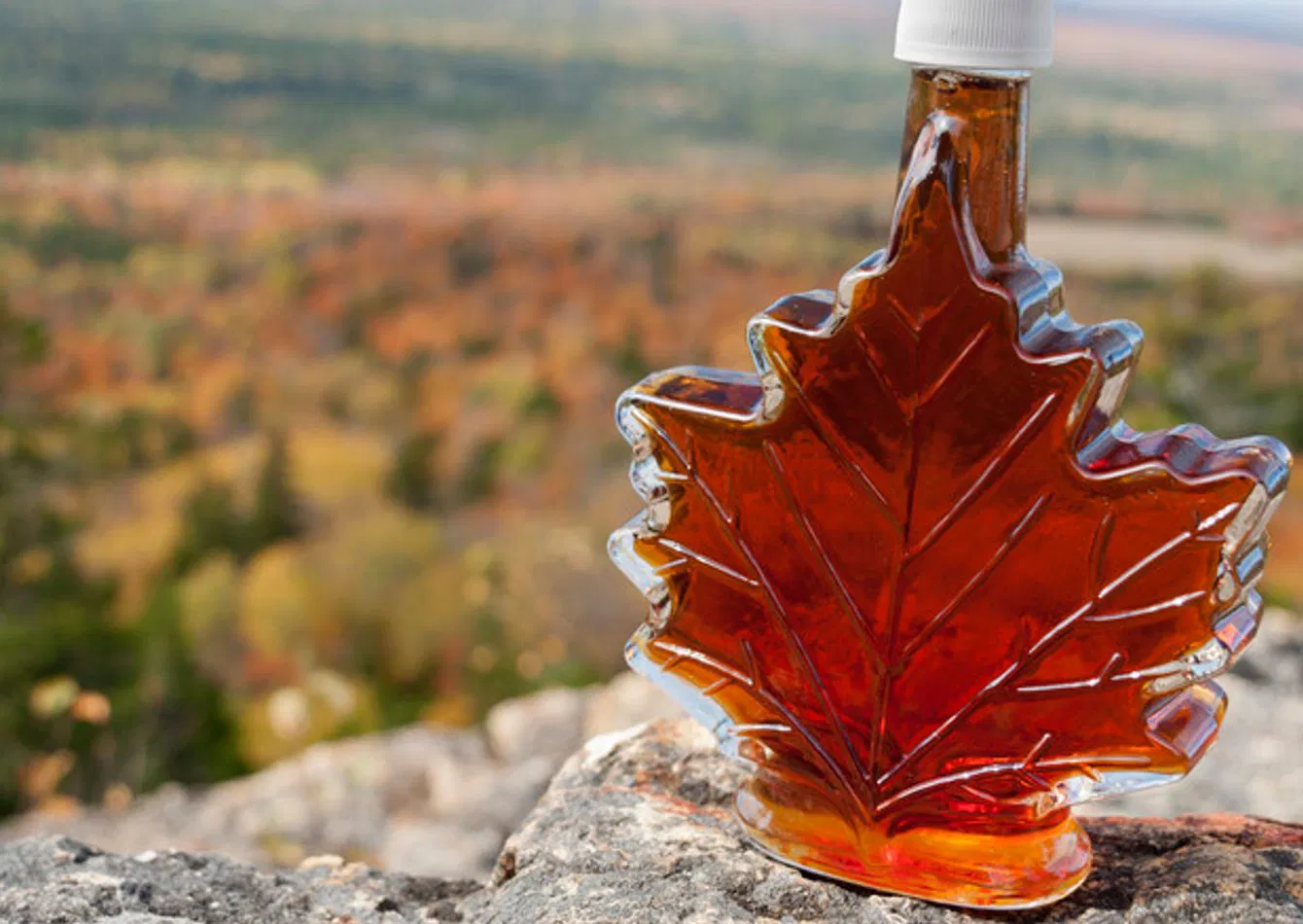 Thriving Specialty Store with Strong Online Presence