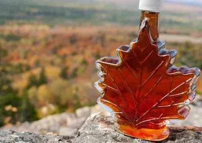 Thriving Specialty Store with Strong Online Presence