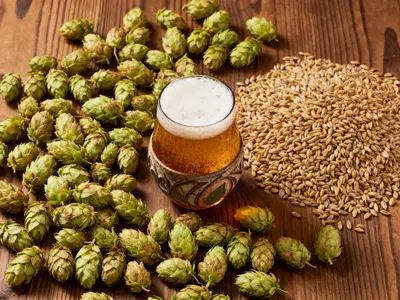 Complete Brewery and Restaurant Equipment Package