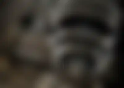 Established Industrial Machinery Manufacturer with Food Industry Focus