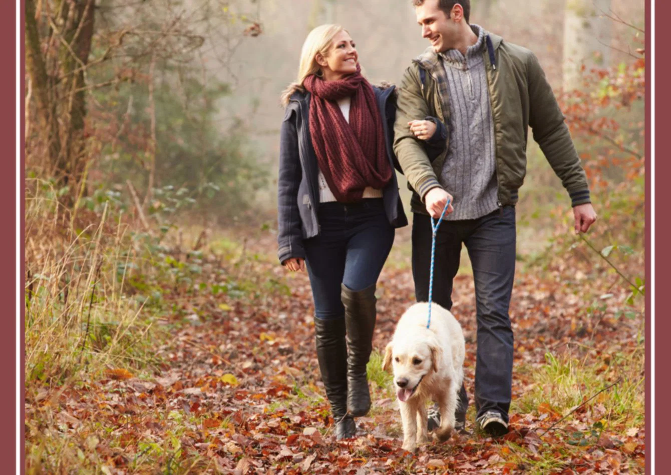 Complete Pet Resort Equipment Package with Real Estate