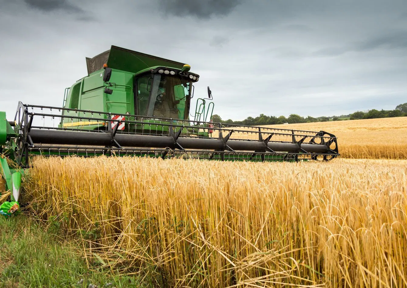 Established Grain Elevator with Rail Transport Potential