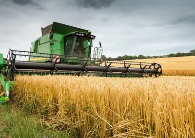 Established Grain Elevator with Rail Transport Potential