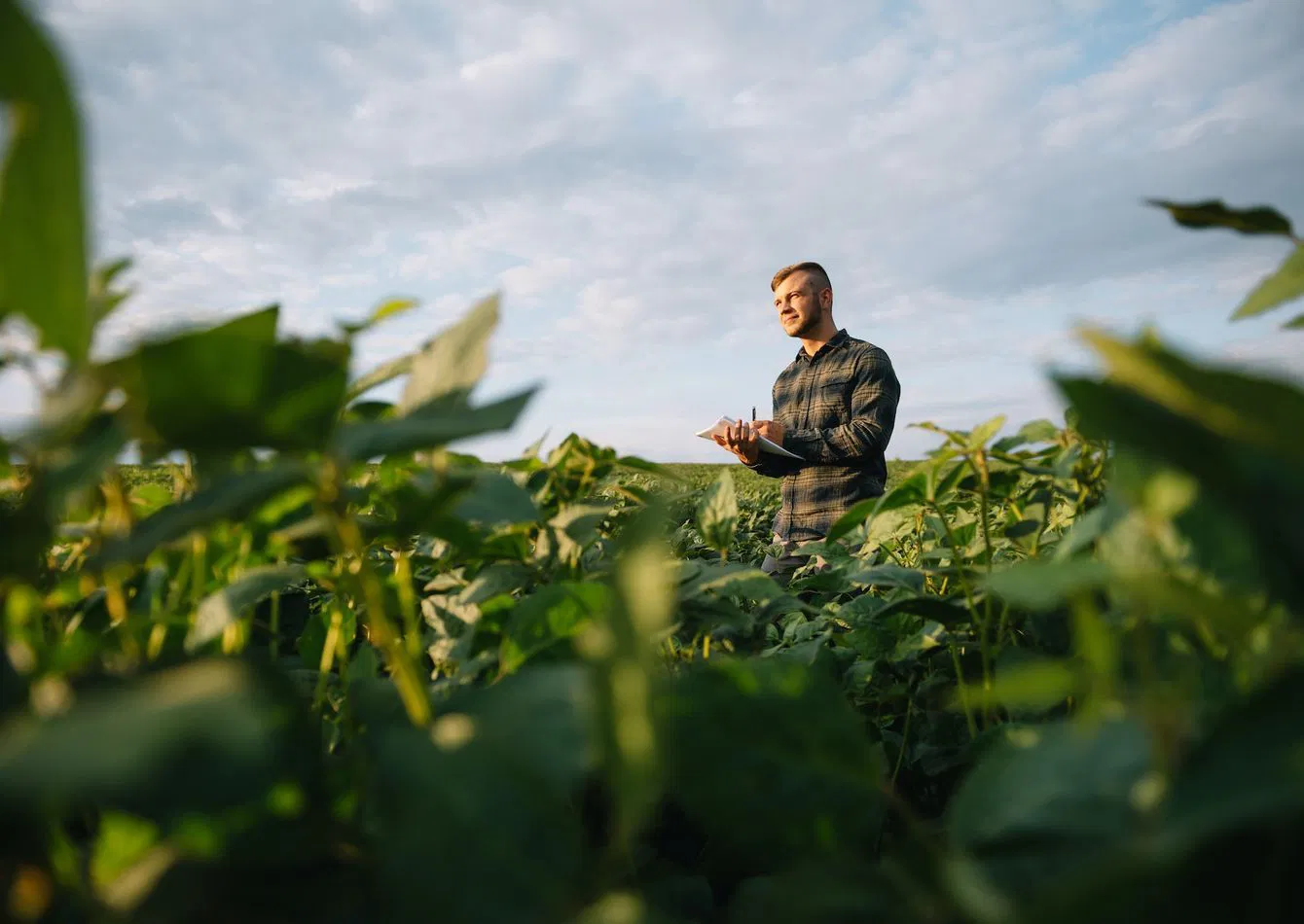 Established Grain Elevator with Rail Transport Potential