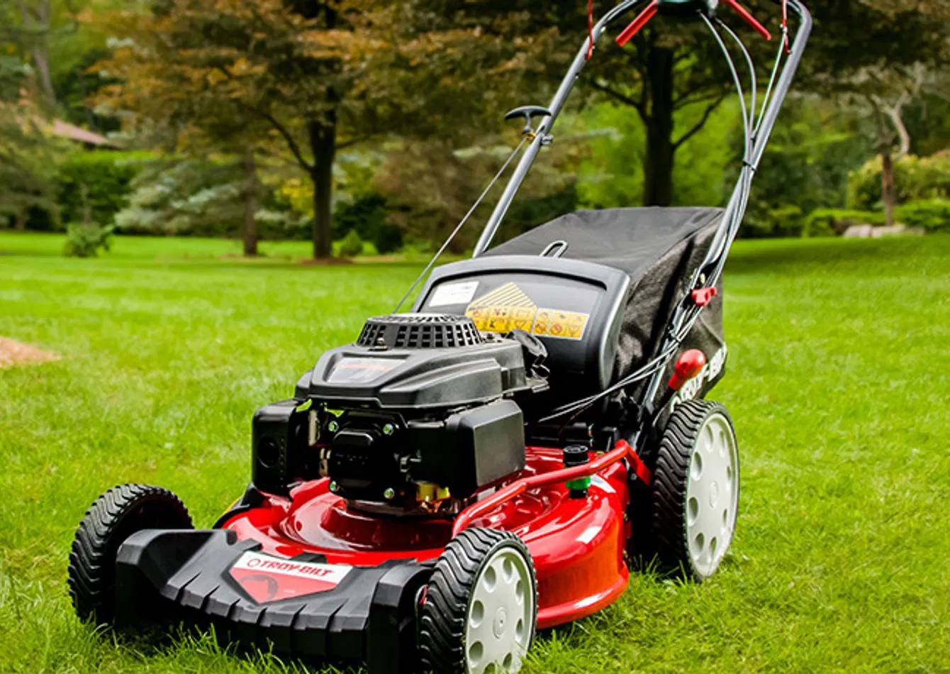 Profitable Small Engine Repair with Prime Frontage Property