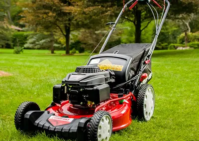 Profitable Small Engine Repair with Prime Frontage Property