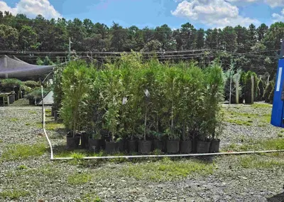 Complete Landscape Supply Assets with Extensive Inventory