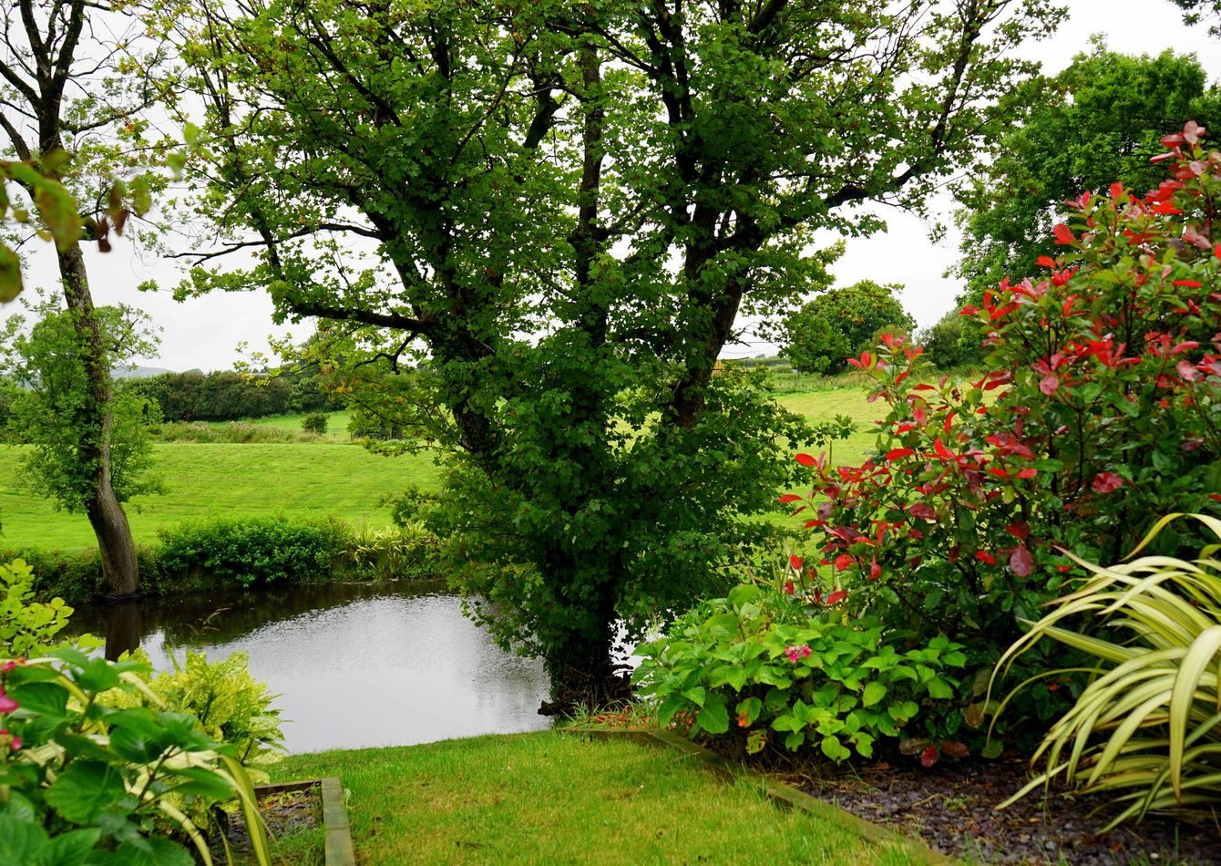 Premier Tree and Lawn Care Franchise with Recurring Revenue