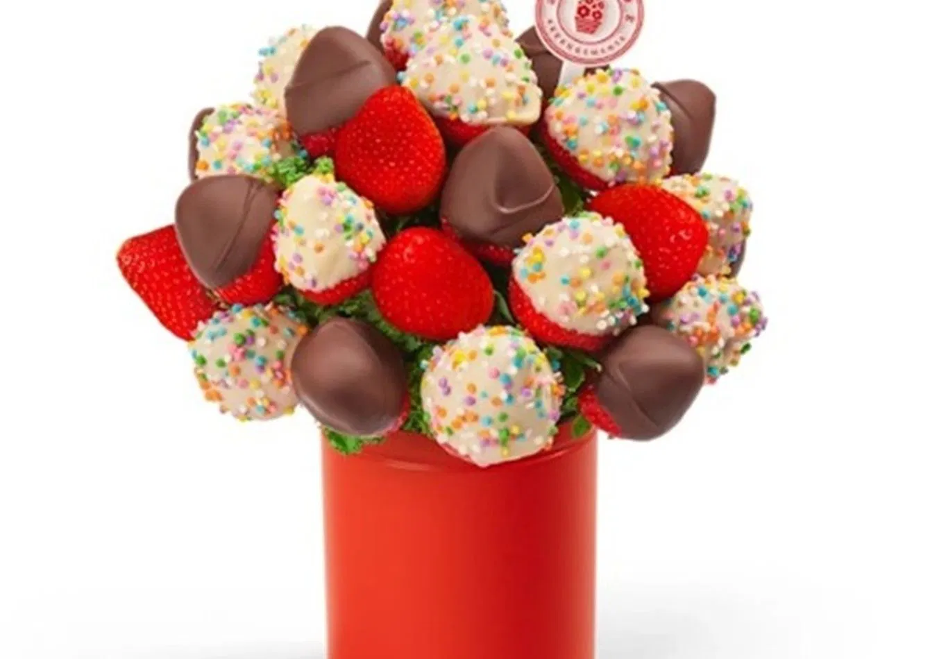 Profitable Specialty Retail Franchise with Strong Brand Recognition