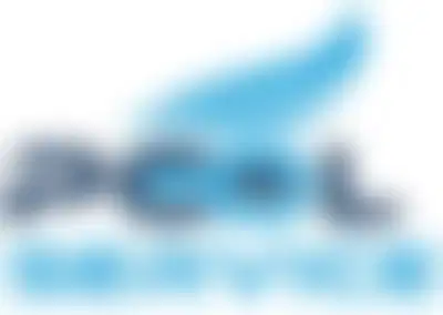 Established Pool Service Route with Strong Recurring Clientele