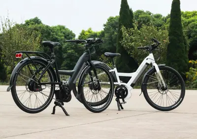 Niche eBike Brand with Proprietary Designs