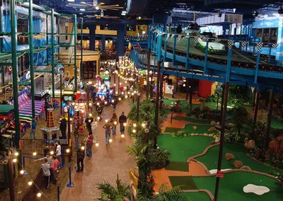 Complete Indoor Therapeutic Entertainment Franchise Assets