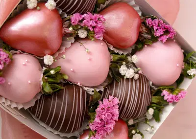 Complete Food  Gift Franchise Assets with Commercial Grade FFE