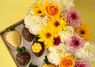 Complete Food  Gift Franchise Assets with Commercial Grade FFE