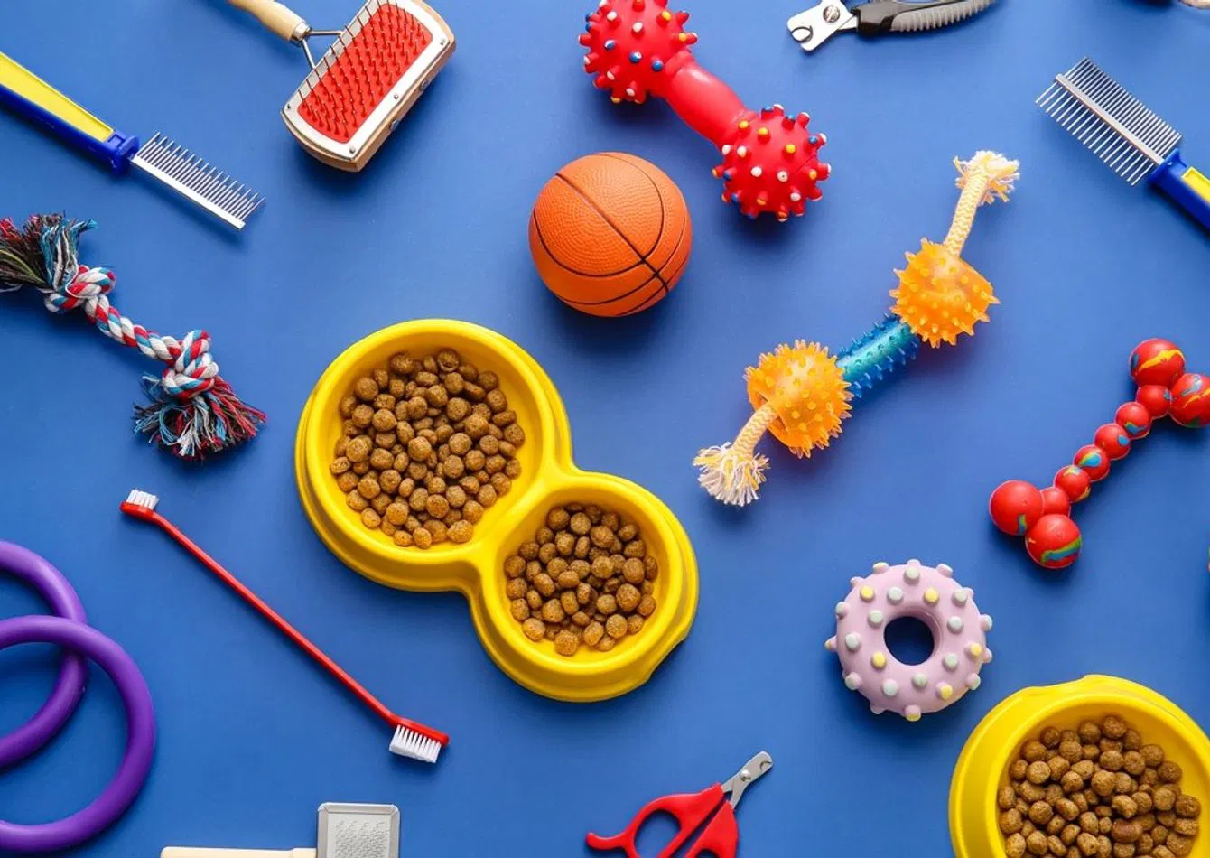 Thriving Pet Retail and Grooming Franchise with Strong Support